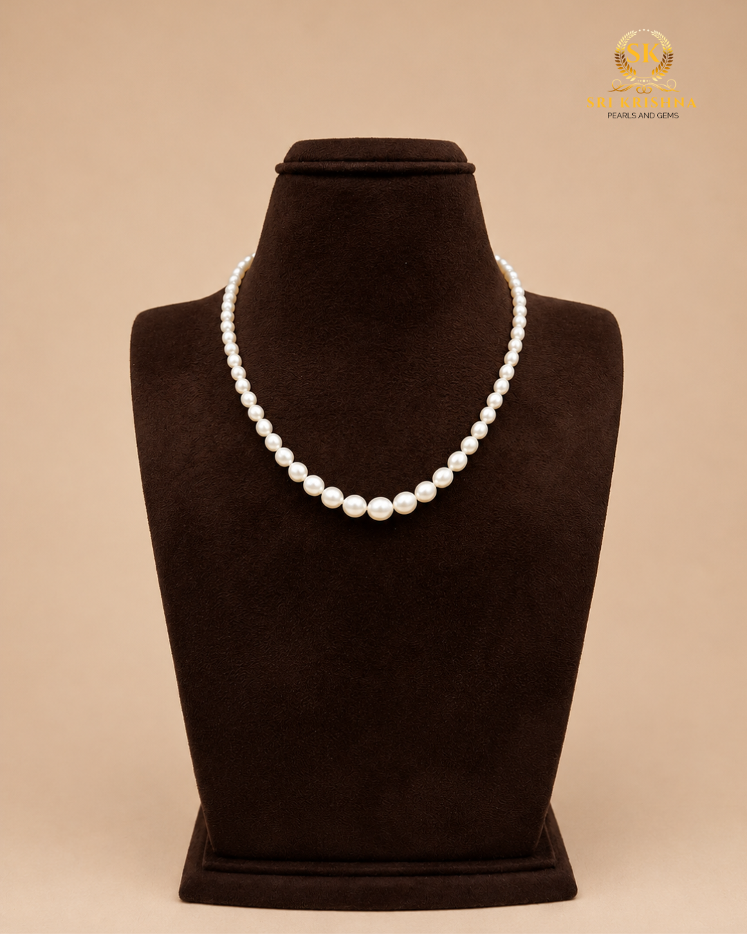 Untitled design (9)